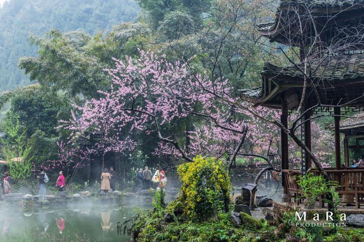 这是什么虫子，在厨余垃圾里发现的，成群有几百上千只？游戏画面