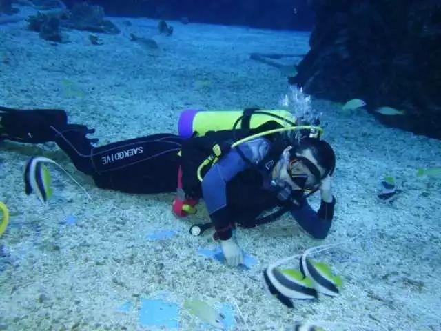 浙江一路段多车碰撞，现场车主称或有百辆事故车，交警正处置：已封道请绕行