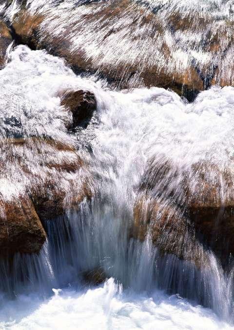 逃离水虎鱼湖